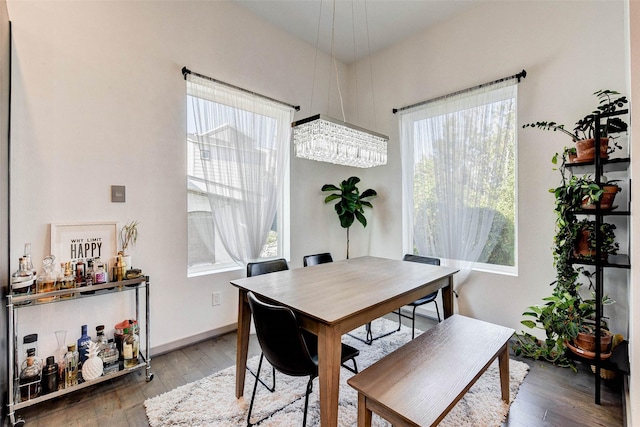 dining room with a wealth of natural light, baseboards, and hardwood / wood-style floors