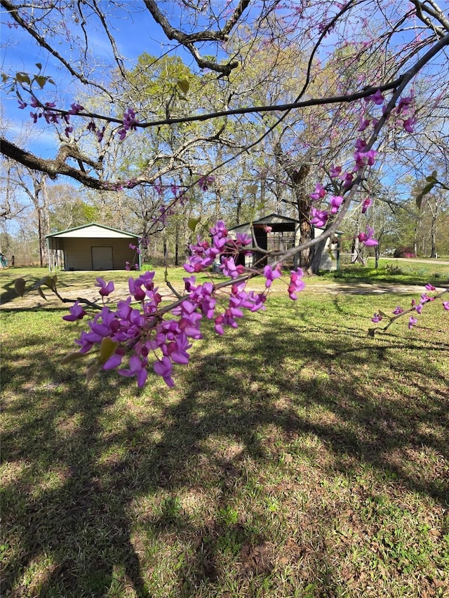 1083 County Road 3141 E, Cleveland, TX 77327 - photo 31