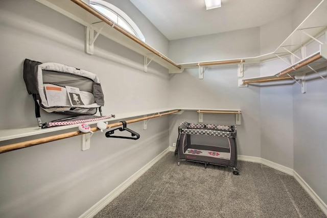 207 Knox St, Houston, TX 77007 - walk in closet with carpet flooring