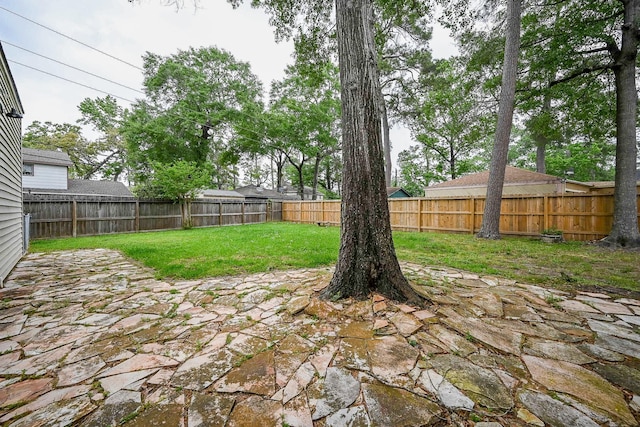 view of yard featuring a patio area and a fenced backyard