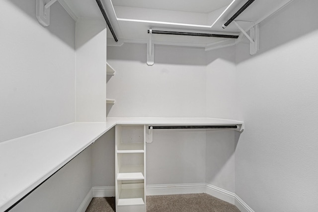 4306 Chadwick Rd, Texas City, TX 77591 - walk in closet with carpet floors