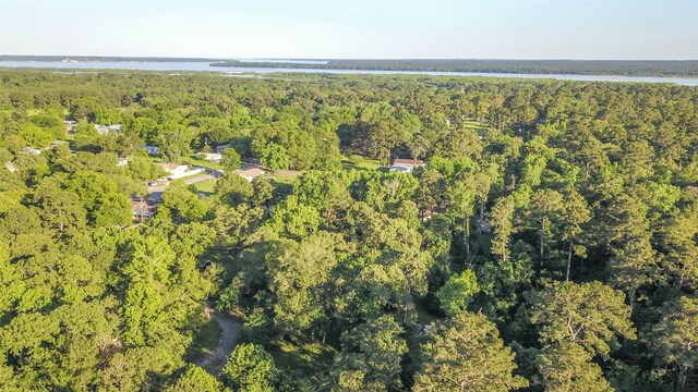 136 Ash St, Trinity, TX 75862 - photo 9