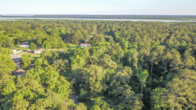 136 Ash St, Trinity, TX 75862 - photo 10