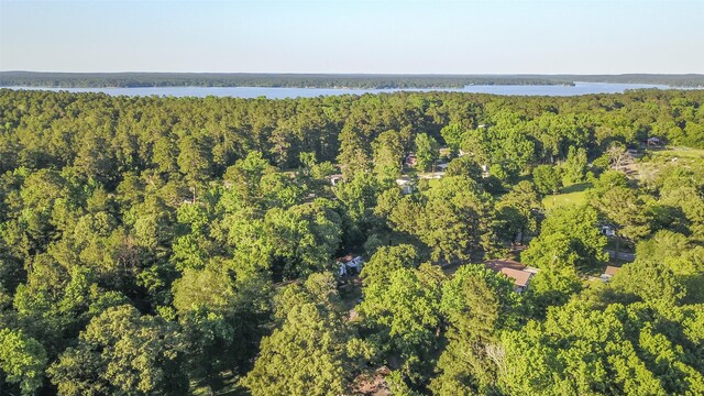 136 Ash St, Trinity, TX 75862 - photo 4