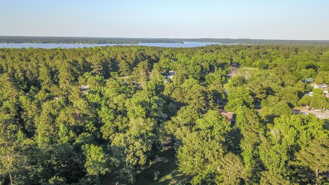 136 Ash St, Trinity, TX 75862 - photo 5