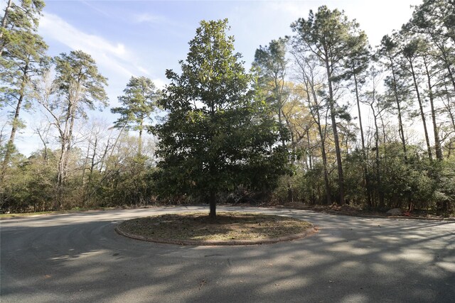 1711 Wickersham Dr, Huntsville, TX 77340 - photo 16