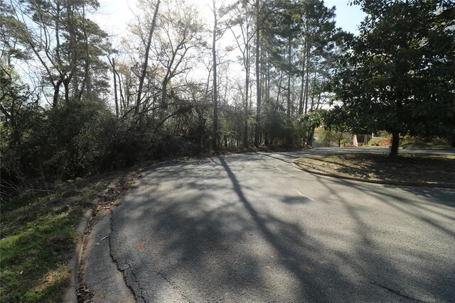 1711 Wickersham Dr, Huntsville, TX 77340 - photo 20