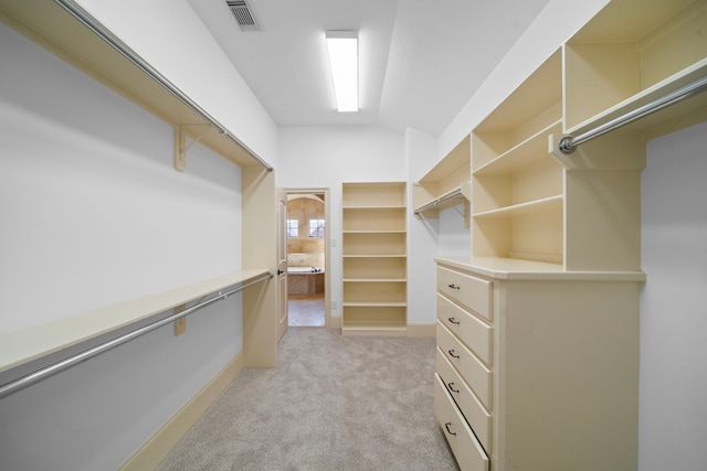 4628 Beech St, Bellaire, TX 77401 - spacious closet with light carpet and lofted ceiling