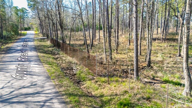 TBD County Road 377, Cleveland, TX 77327 - photo 4