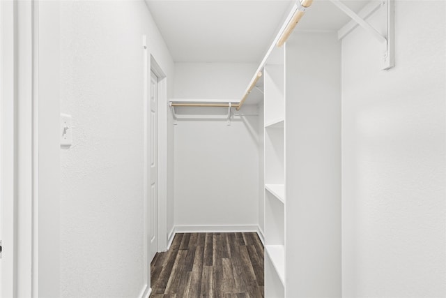 301 Pineland Dr, Trinity, TX 75862 - spacious closet with wood finished floors