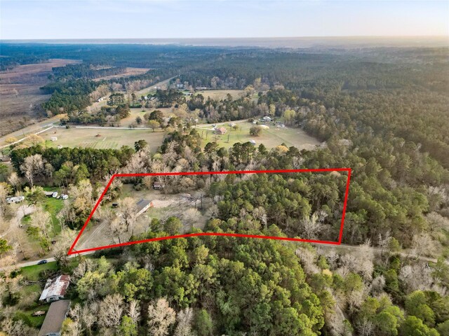 301 Pineland Dr, Trinity, TX 75862 - drone / aerial view featuring a rural view and a wooded view
