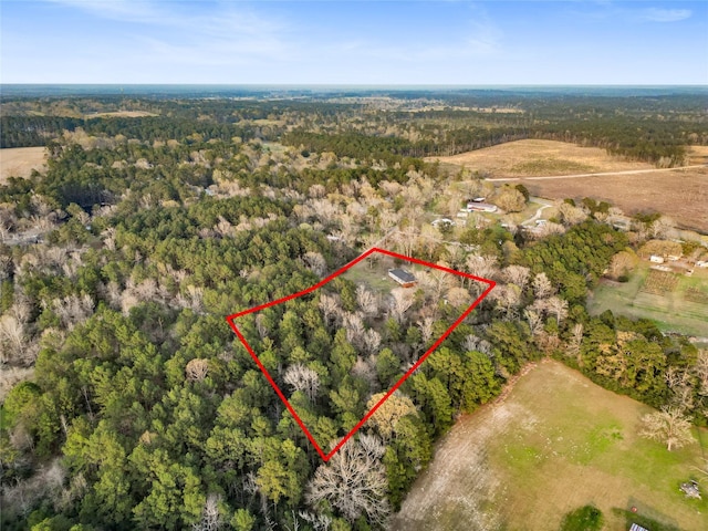 301 Pineland Dr, Trinity, TX 75862 - bird's eye view with a forest view