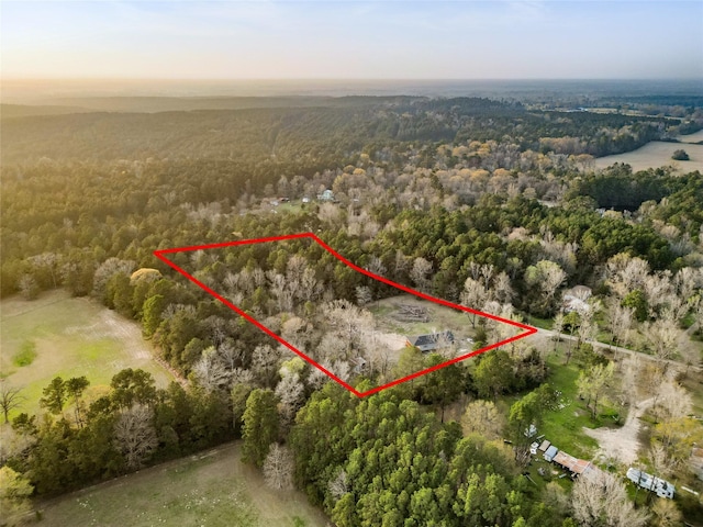 301 Pineland Dr, Trinity, TX 75862 - bird's eye view featuring a wooded view