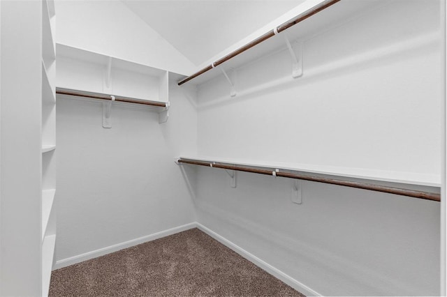 14356 N Summerchase Cir, Willis, TX 77318 - walk in closet with dark colored carpet and vaulted ceiling