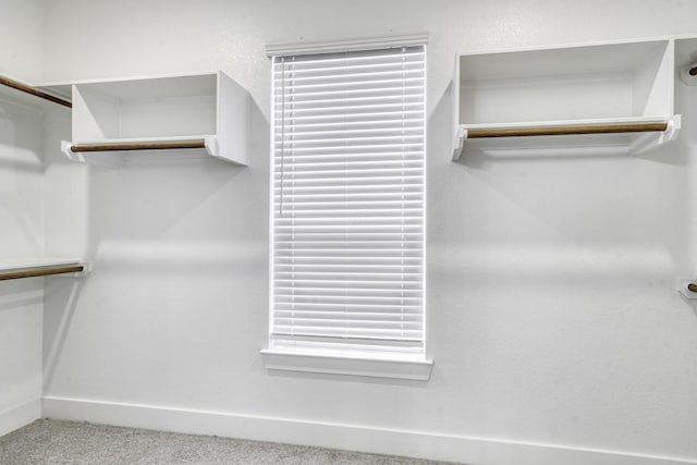 spacious closet with carpet floors