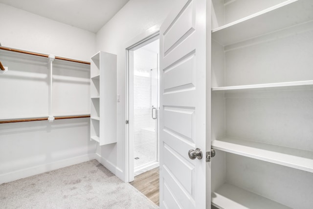 walk in closet featuring carpet flooring