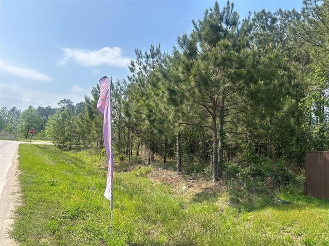3560 County Road 3549, Cleveland, TX 77327 - photo 8