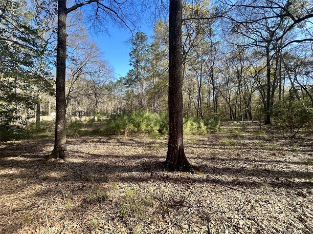 16383 Largent Dr, Plantersville, TX 77363 - photo 5