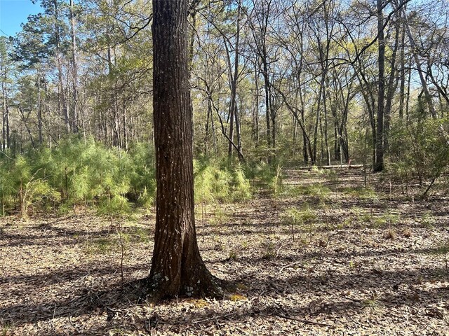 16383 Largent Dr, Plantersville, TX 77363 - photo 6