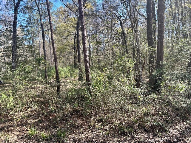 16383 Largent Dr, Plantersville, TX 77363 - photo 10