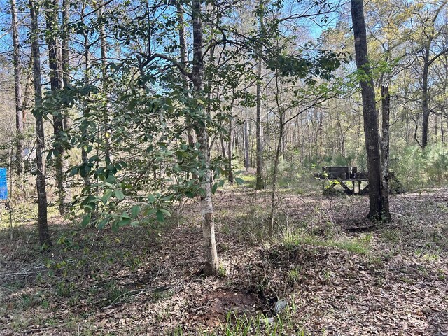 16383 Largent Dr, Plantersville, TX 77363 - photo 12