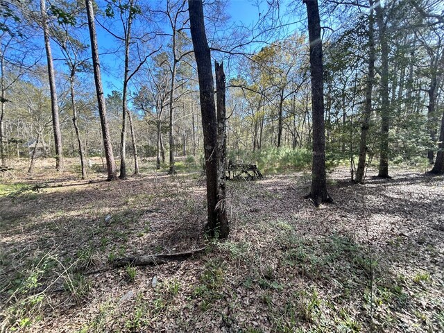 16383 Largent Dr, Plantersville, TX 77363 - photo 17