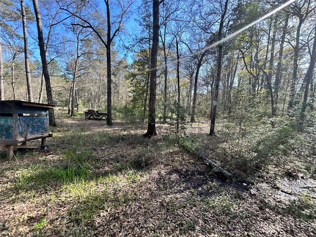 16383 Largent Dr, Plantersville, TX 77363 - photo 18