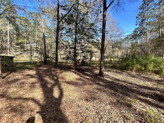 16383 Largent Dr, Plantersville, TX 77363 - photo 19