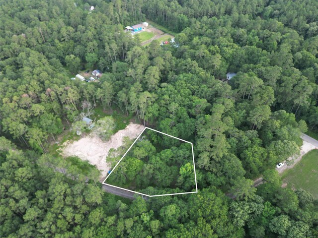 16383 Largent Dr, Plantersville, TX 77363 - photo 1