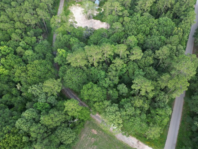 16383 Largent Dr, Plantersville, TX 77363 - photo 2