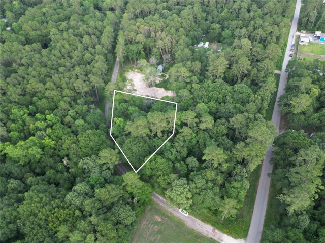 16383 Largent Dr, Plantersville, TX 77363 - photo 4