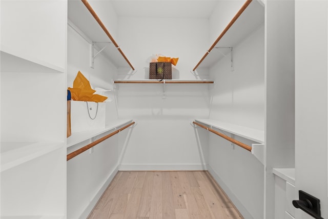 walk in closet with light wood-type flooring