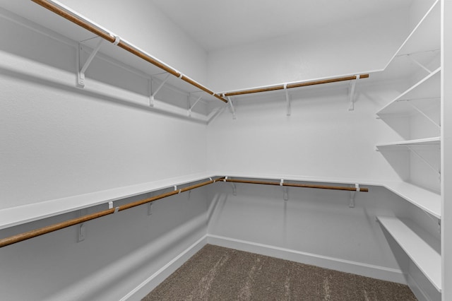 spacious closet with dark colored carpet