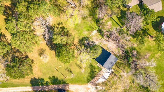 71 Deer Run Cir, Coldspring, TX 77331 - aerial view