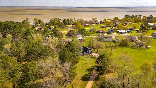 71 Deer Run Cir, Coldspring, TX 77331 - aerial view of residential area