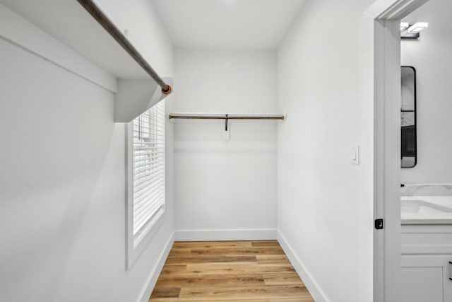 spacious closet featuring light wood finished floors
