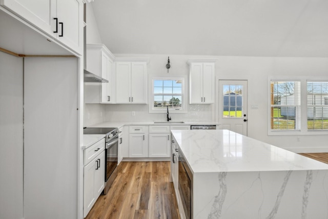 kitchen featuring light wood finished floors, stainless steel electric stove, a kitchen island, and a sink