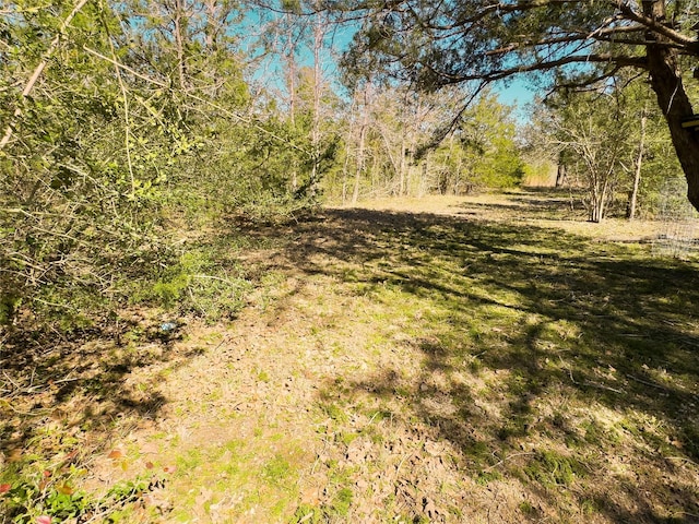 1800 Big Berry Rd, Somerville, TX 77879 - photo 8