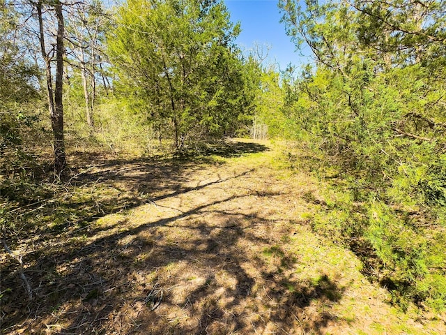1800 Big Berry Rd, Somerville, TX 77879 - photo 6