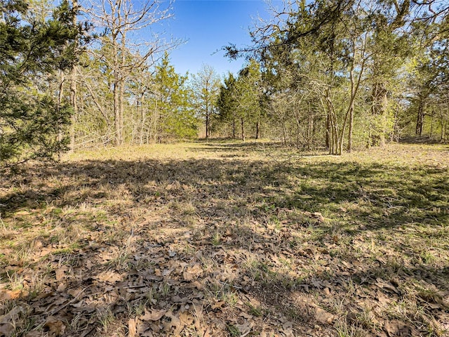 1800 Big Berry Rd, Somerville, TX 77879 - photo 9