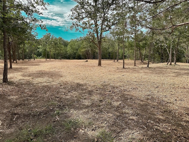 1800 Big Berry Rd, Somerville, TX 77879 - photo 2