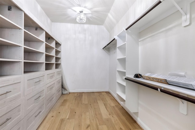 23509 Red Juniper Ln, New Caney, TX 77357 - walk in closet featuring light wood-type flooring