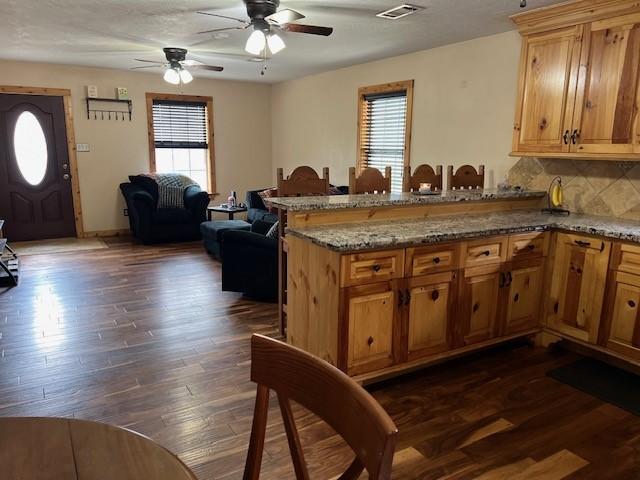 kitchen featuring a wealth of natural light, a peninsula, dark wood-type flooring, and ceiling fan
