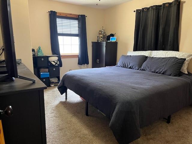 bedroom featuring carpet floors