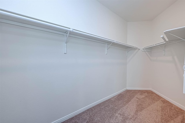 walk in closet featuring carpet