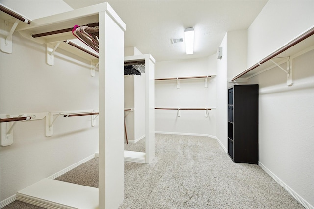 3031 Royal Oaks Grv, Houston, TX 77082 - spacious closet with carpet