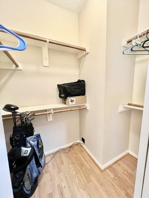 spacious closet featuring wood finished floors