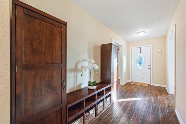 101 Royal Ct, Friendswood, TX 77546 - entryway with dark wood-style flooring and baseboards