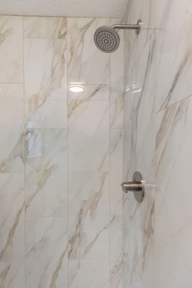 interior details with a marble finish shower