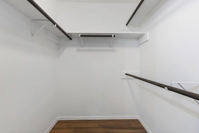walk in closet with dark wood finished floors